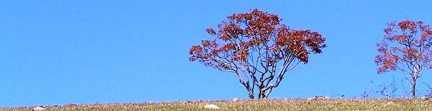 20021117-060-s