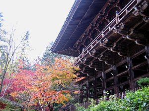 20041119-021-s