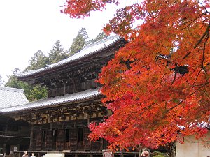 20041119-028-s