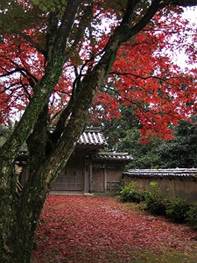 kura9033_image011