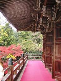 kura9033_image013