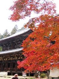 kura9033_image015