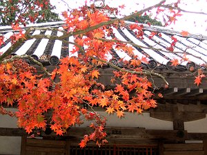 20041119-036-s