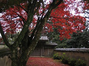 20041119-041-s