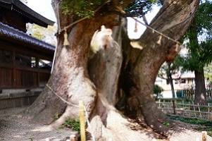 kamata_jinja_03-s