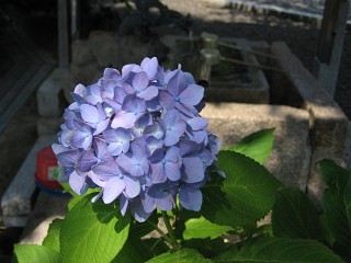 IMG_0015-s
