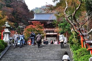 Photo-13