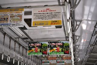 DSC_0089s