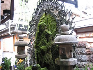 IMG_0080
